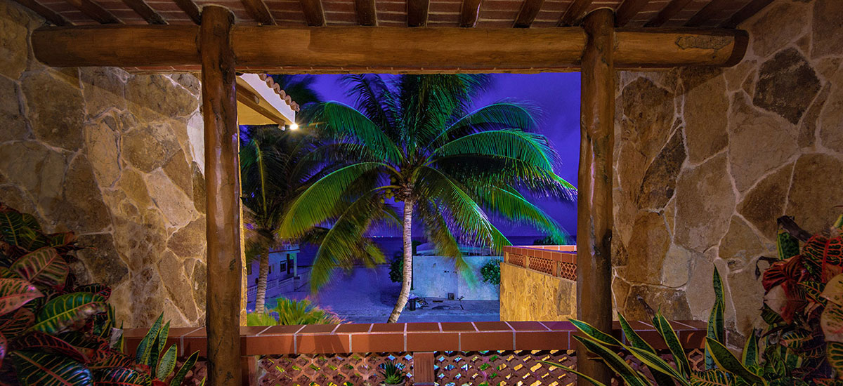 Casa Gigi Palm Tree