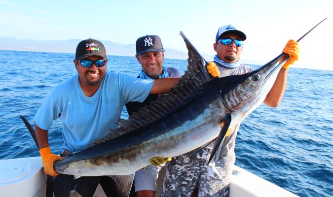 The Thrill of Marlin Fishing in Cabo - Tag Cabo Sportfishing