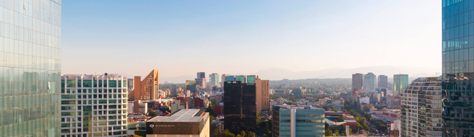 How to Live Like a Local in Mexico City