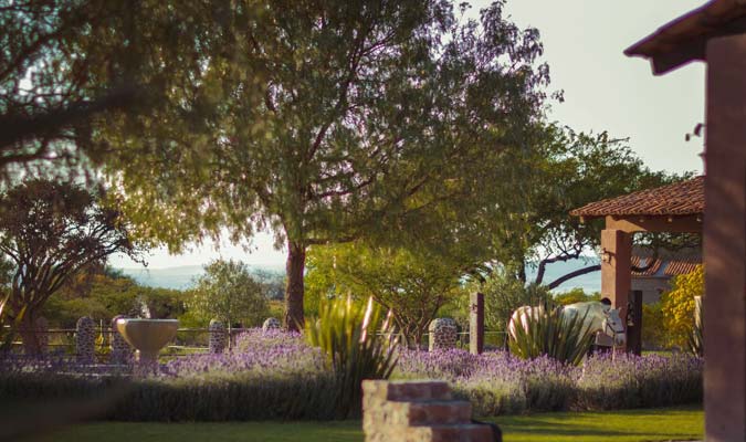 rancho-del-sol-horse-san-miguel-de-allende