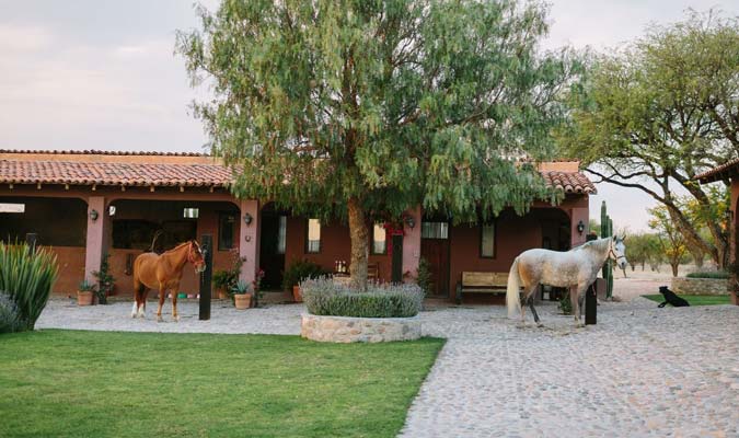 A Stay at San Miguel de Allende's Countryside Ranch Villas